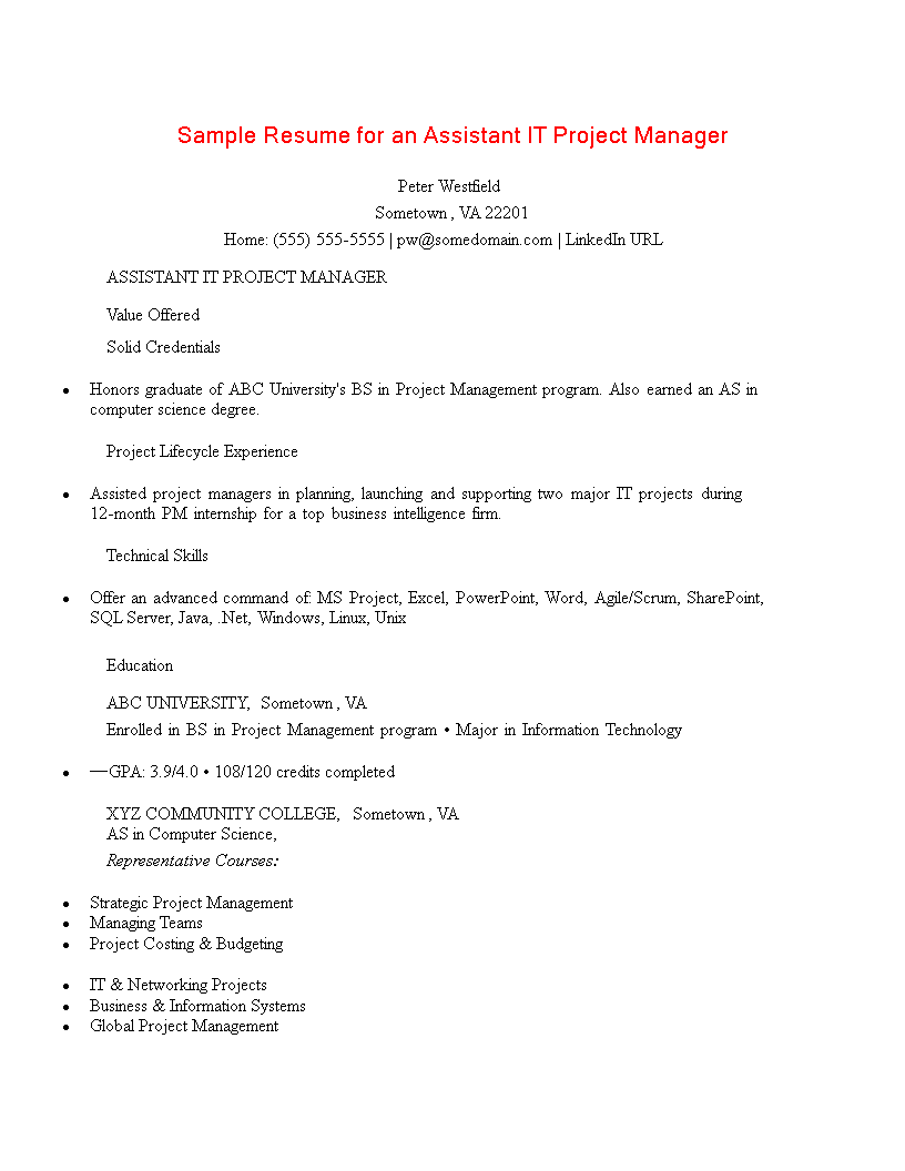 Assistant Project Manager Resume 模板