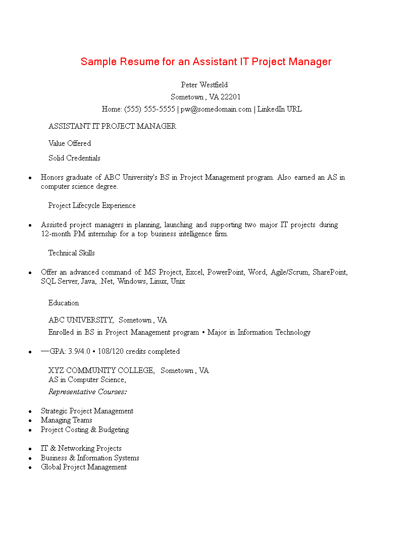 assistant project manager resume plantilla imagen principal