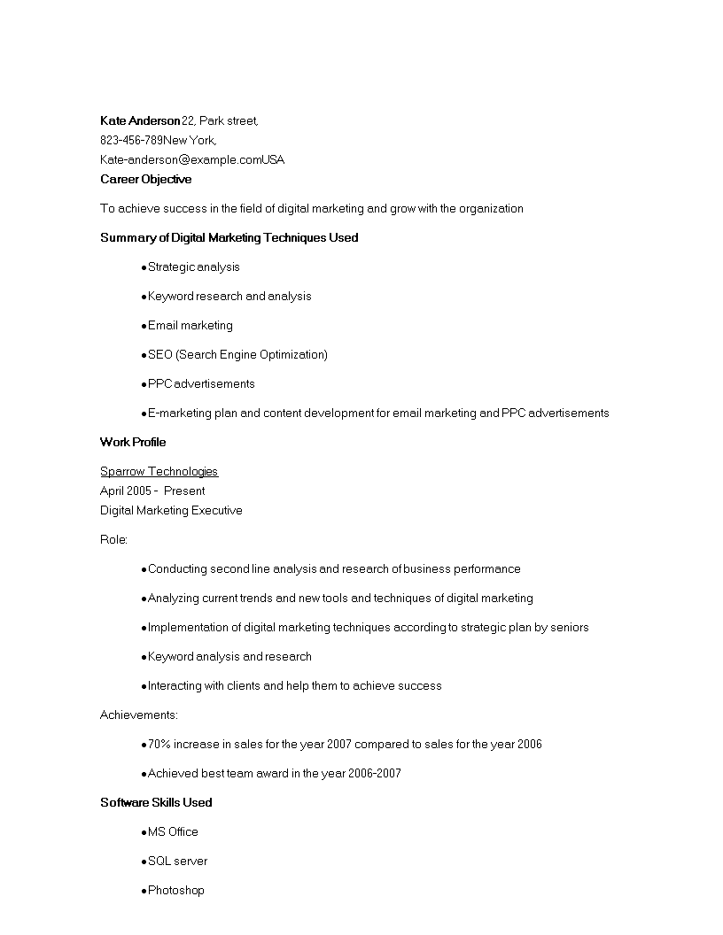 digital marketing executive resume template voorbeeld afbeelding 