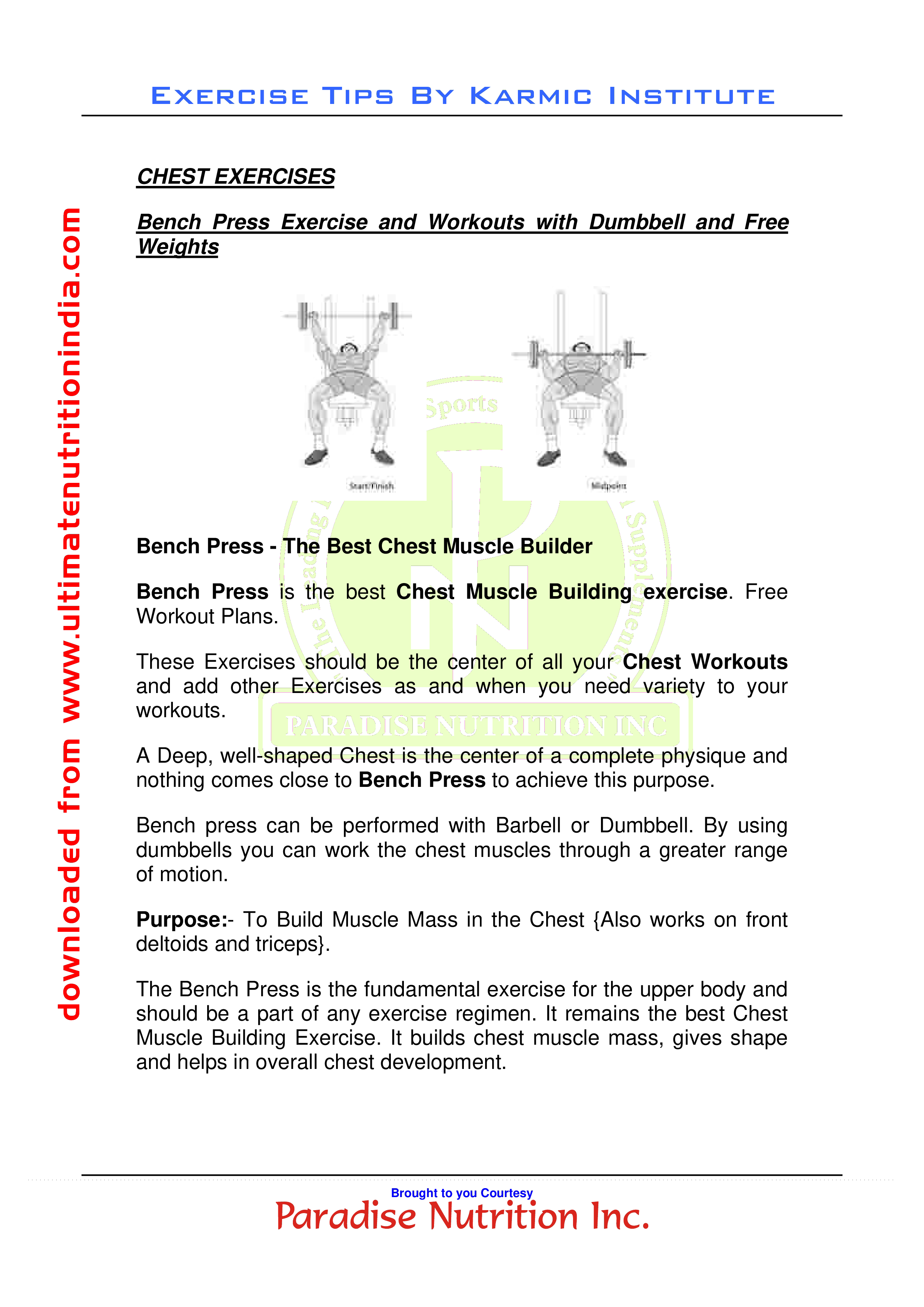 Chest Workout Chart | Templates at allbusinesstemplates.com