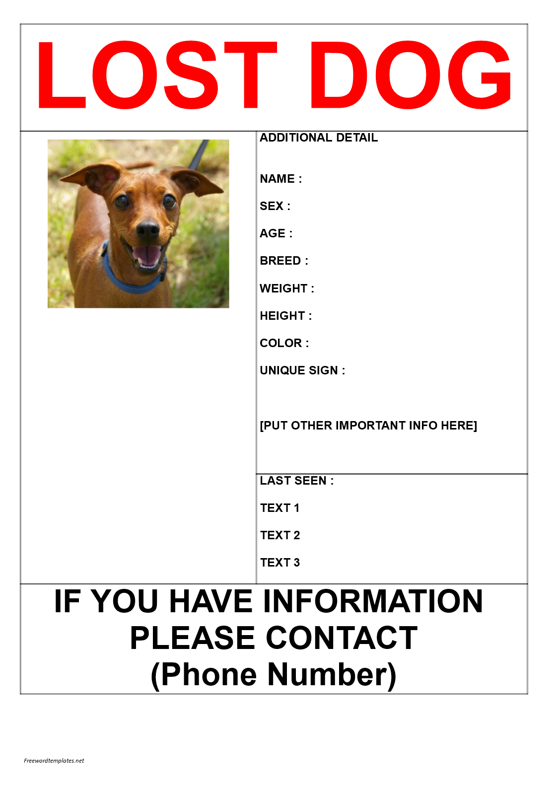 Missing Dog Poster in A3 Size main image