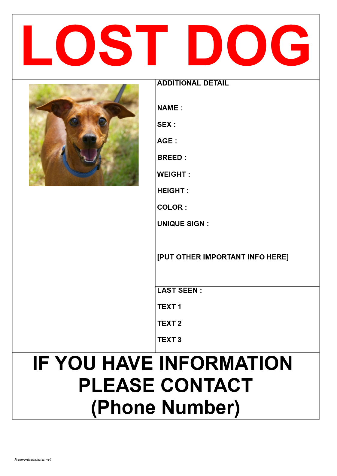 missing dog poster in a3 size modèles