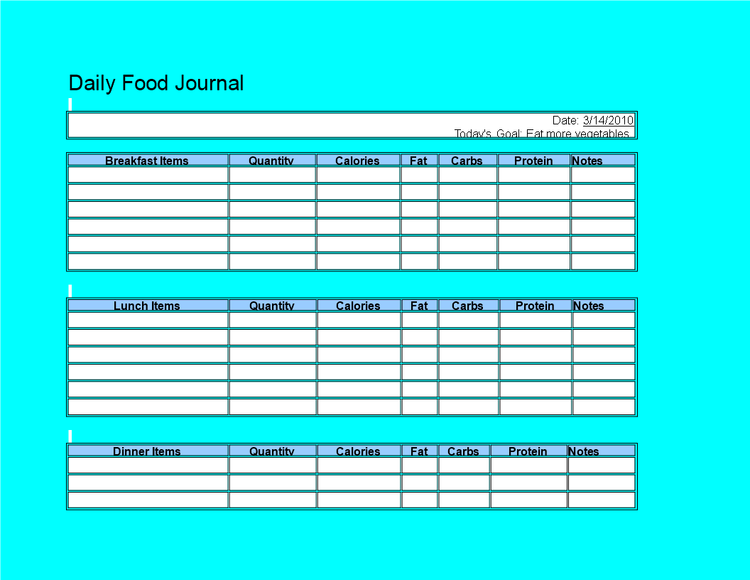 daily food schedule example template