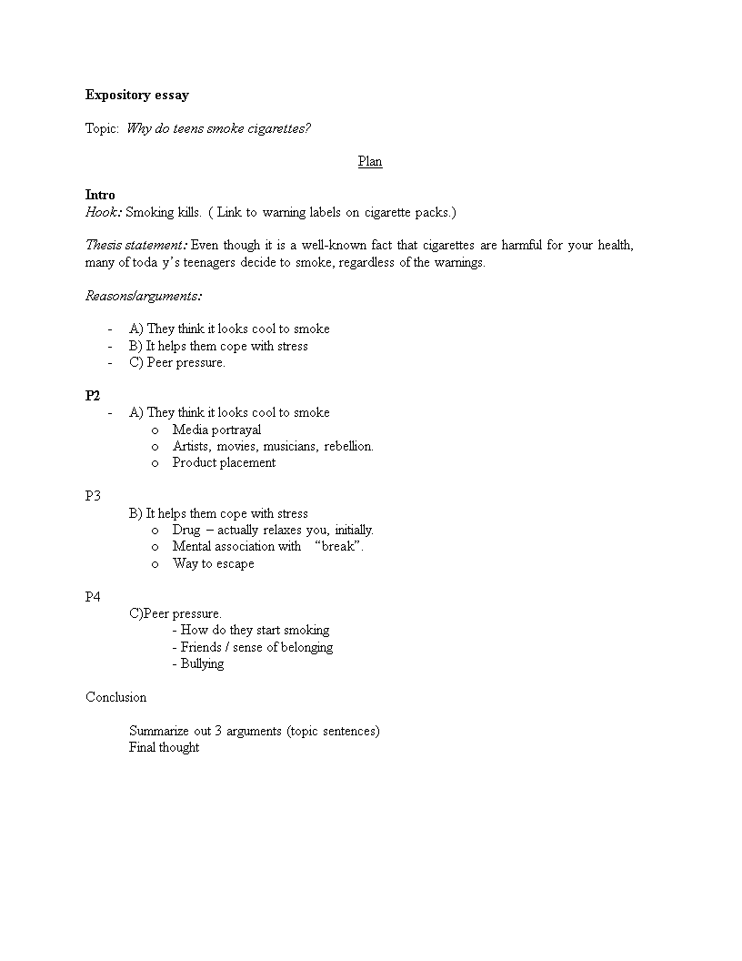 expository essay template
