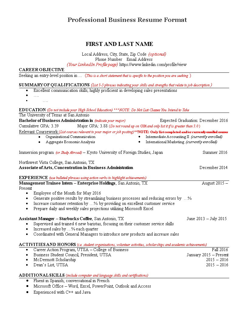 professional business resume format voorbeeld afbeelding 