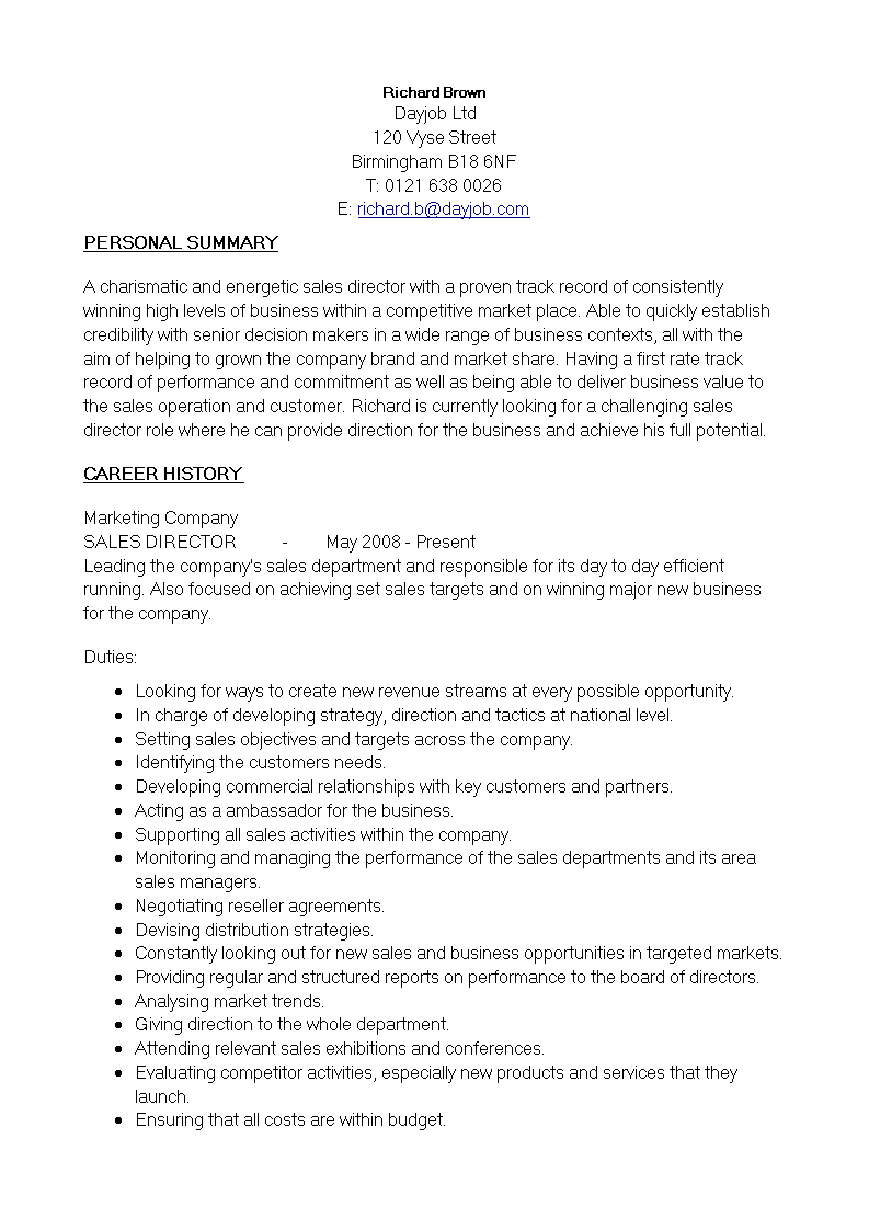 Digital Sales Director Resume main image