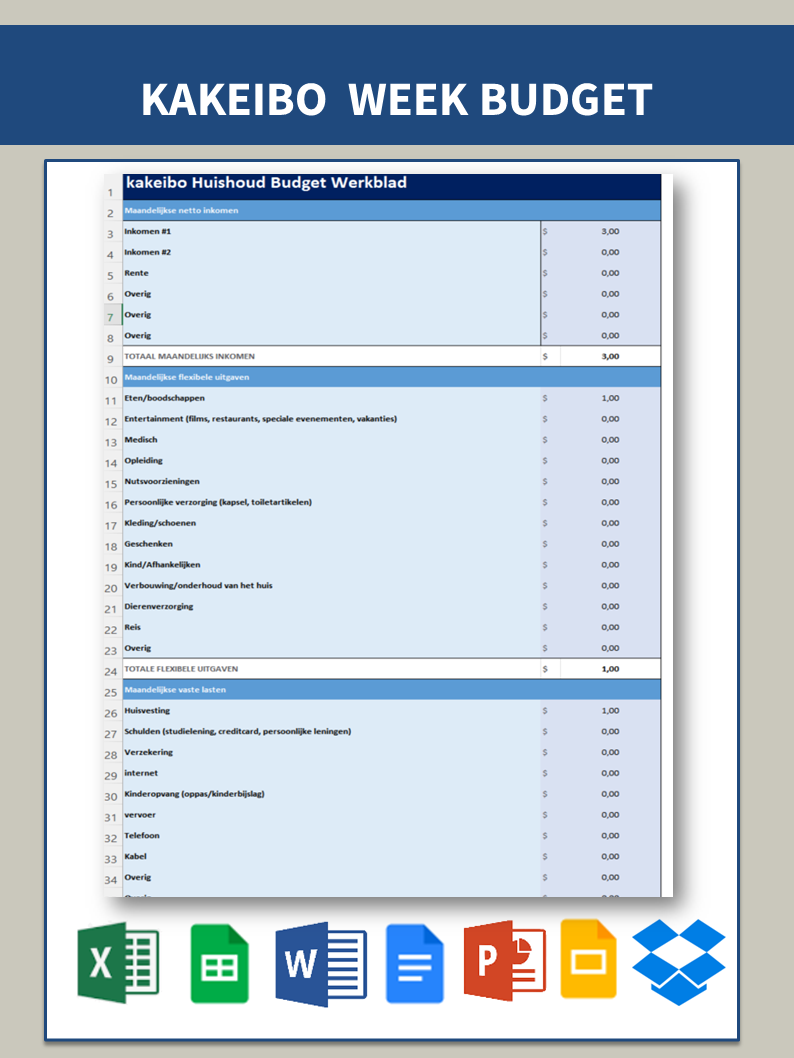 kakeibo budget sjabloon voorbeeld afbeelding 
