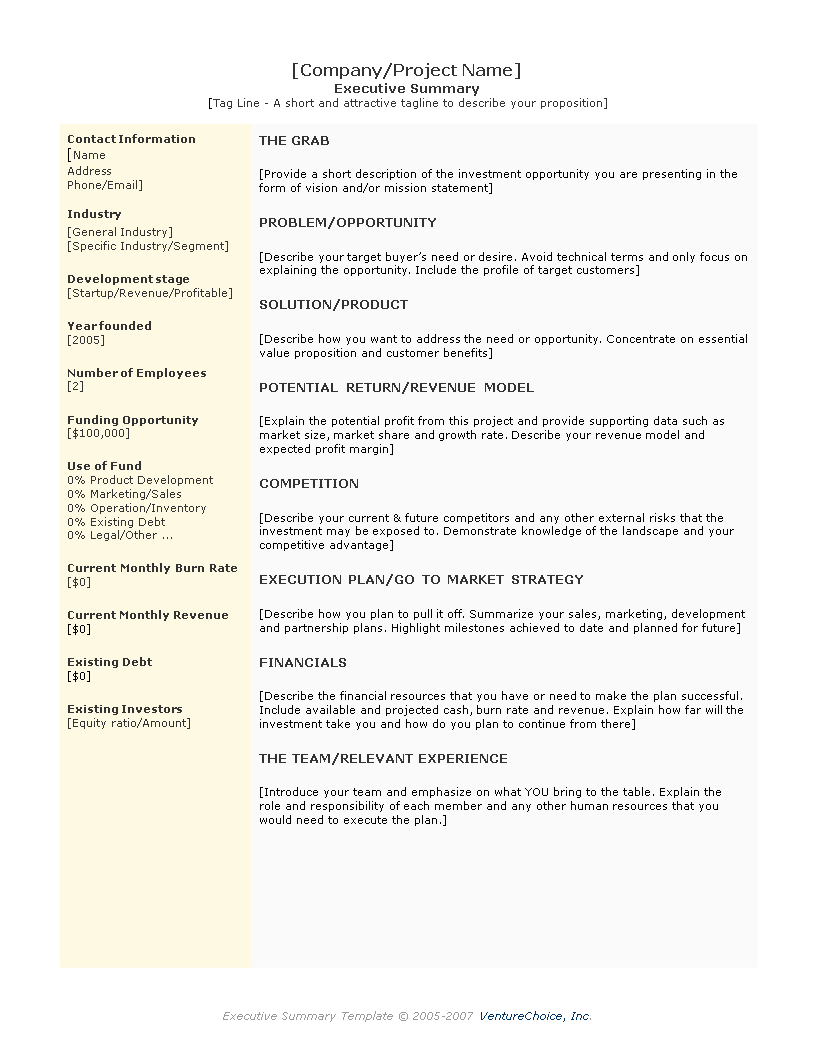 executive summary business plan template