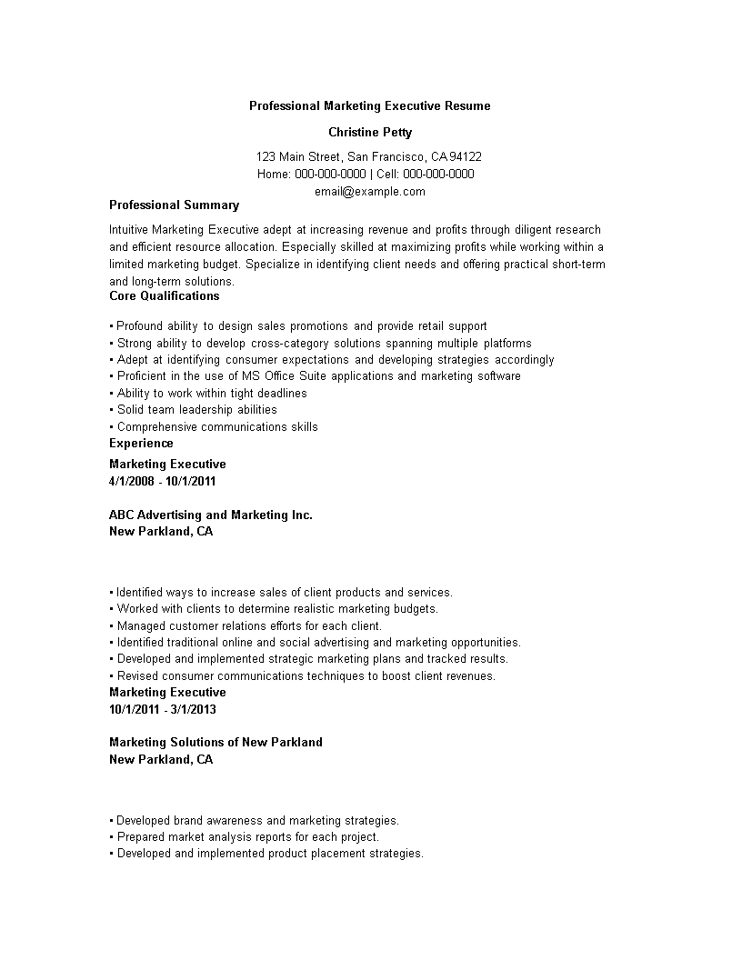 Professional Marketing Executive Resume main image