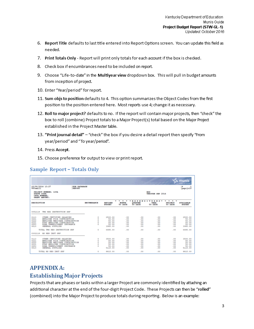 project budget report template