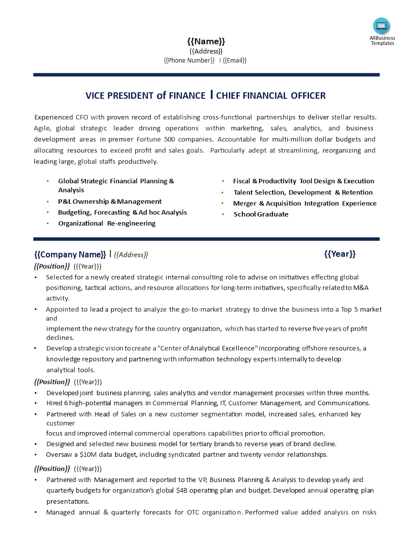 chief finance officer resume plantilla imagen principal