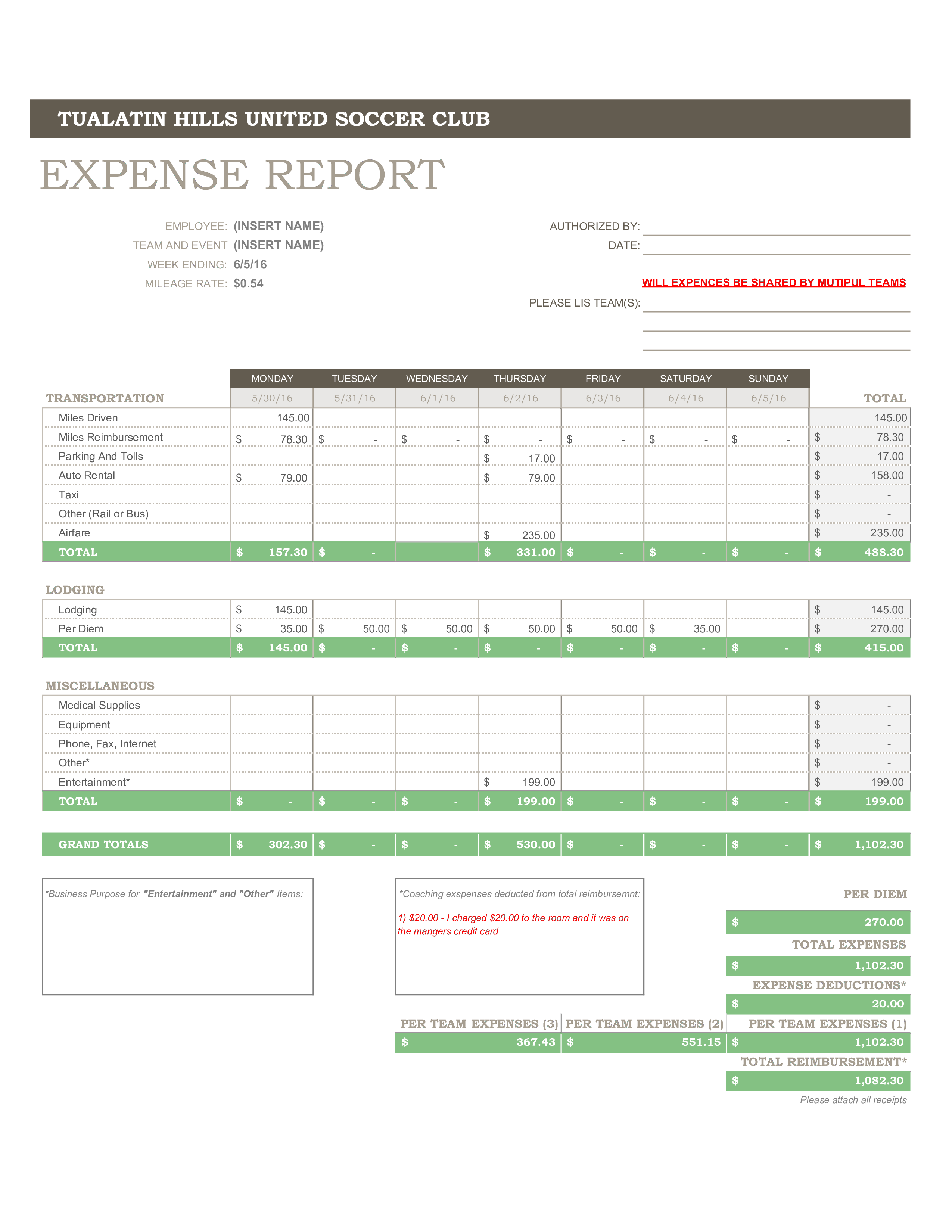 professional Expense Report 模板