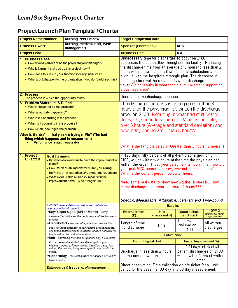 hospital project charter nursing project template