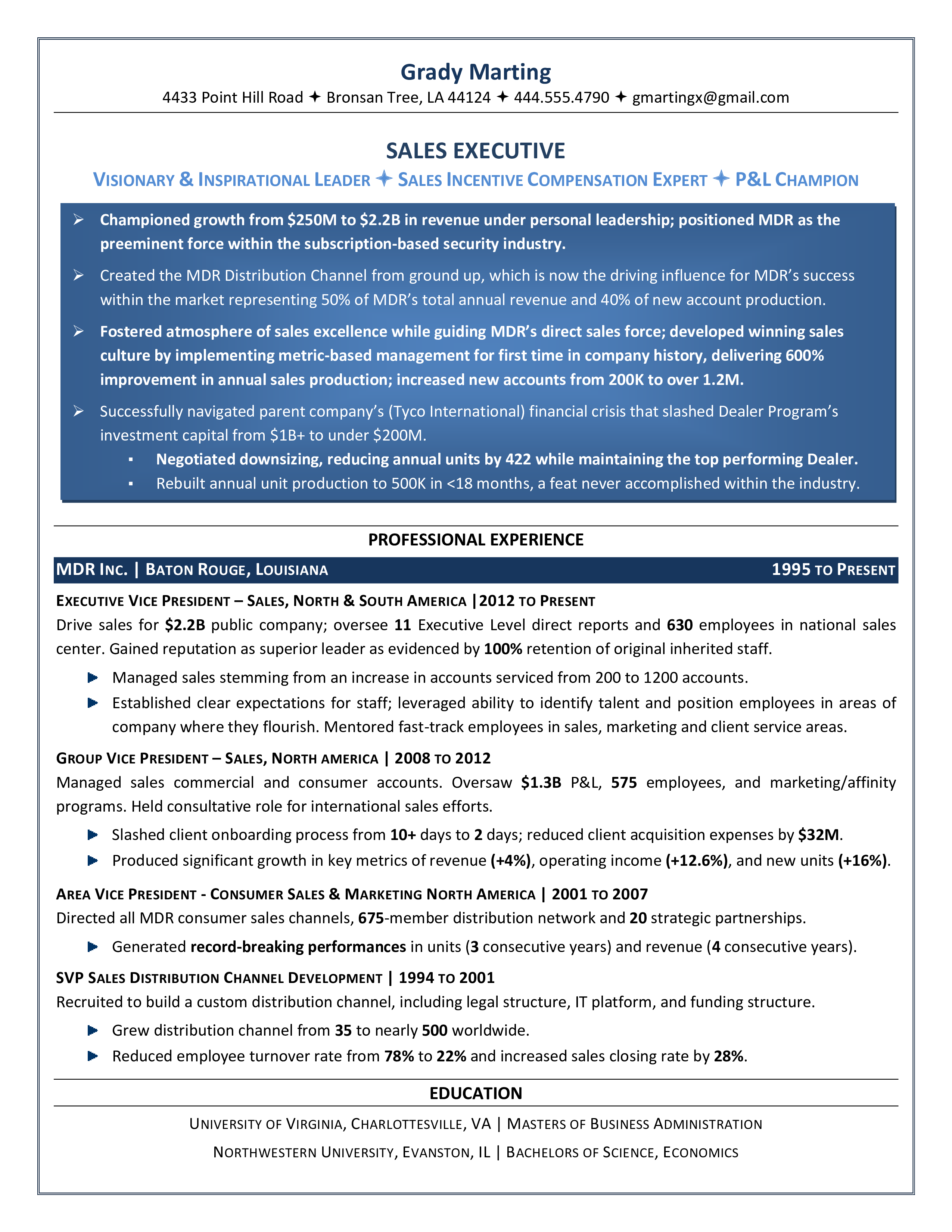 sales executive job resume template