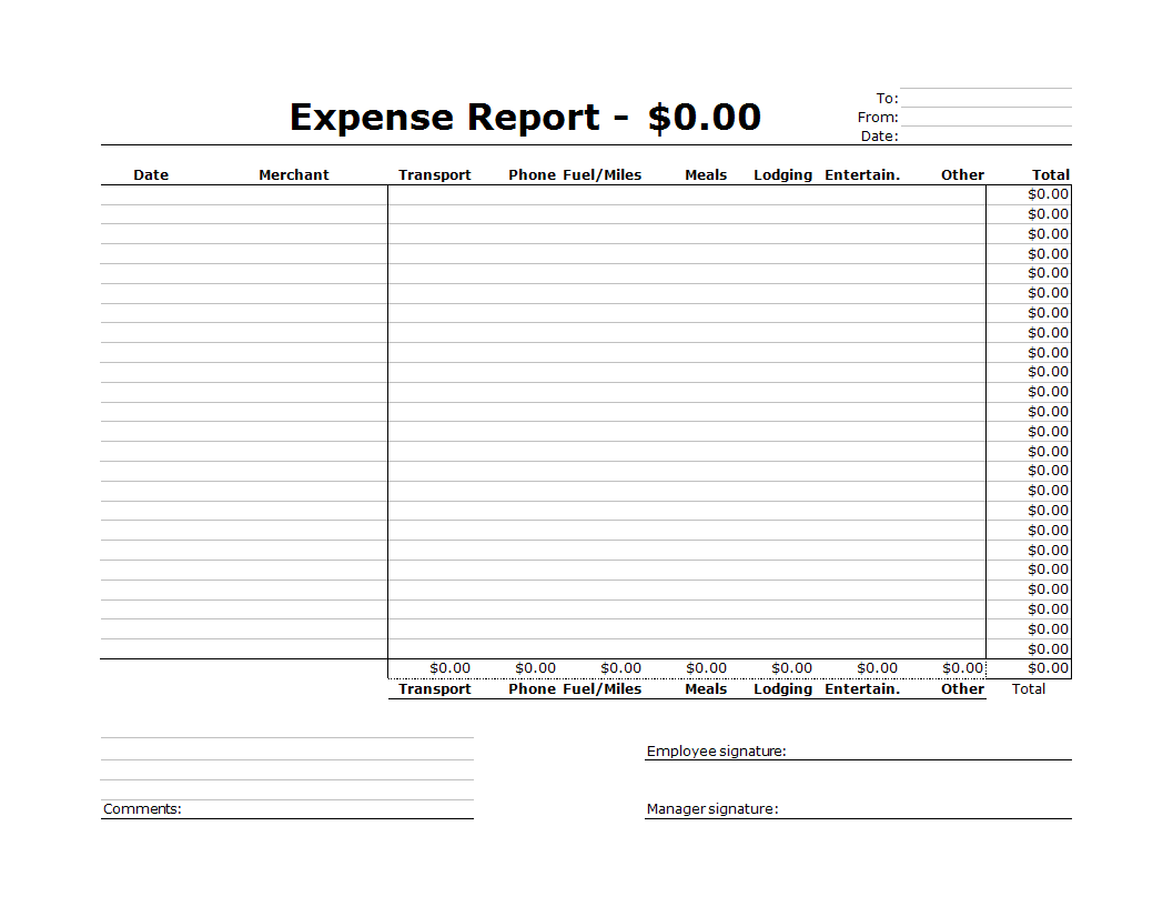 Company Expense report Excel spreadsheet main image