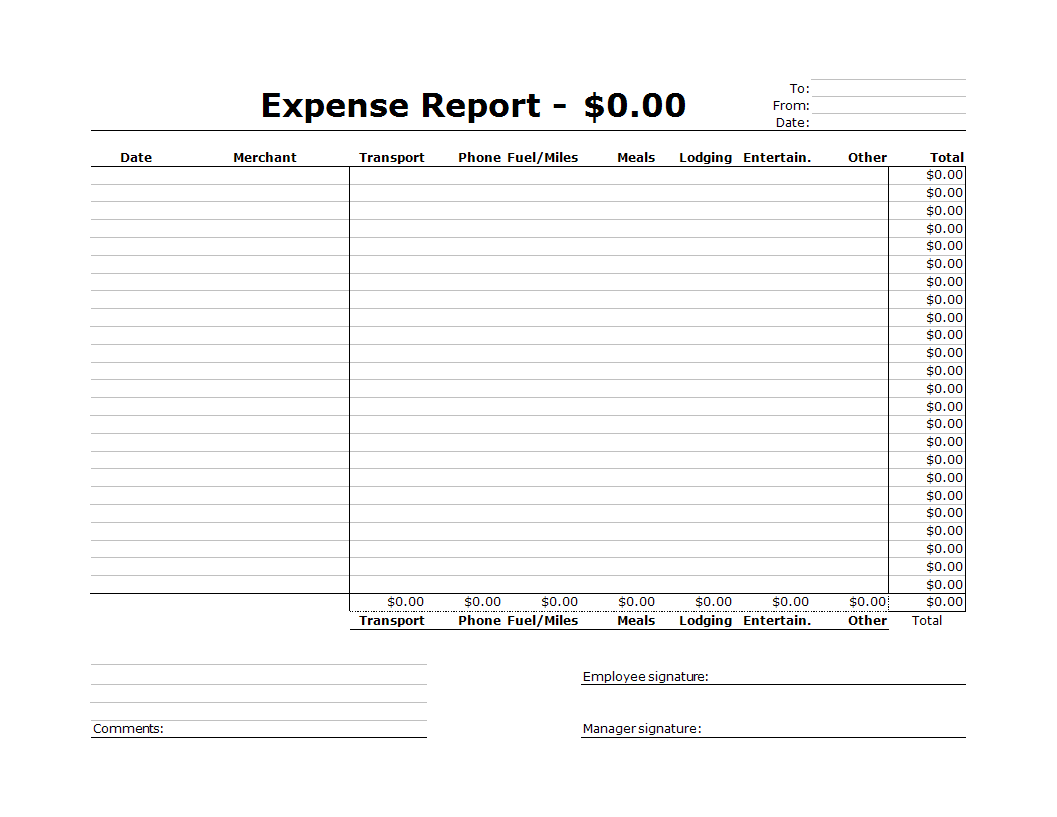 company expense report excel spreadsheet plantilla imagen principal