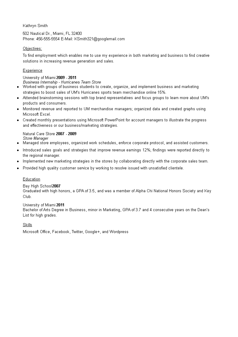 business executive resume example plantilla imagen principal