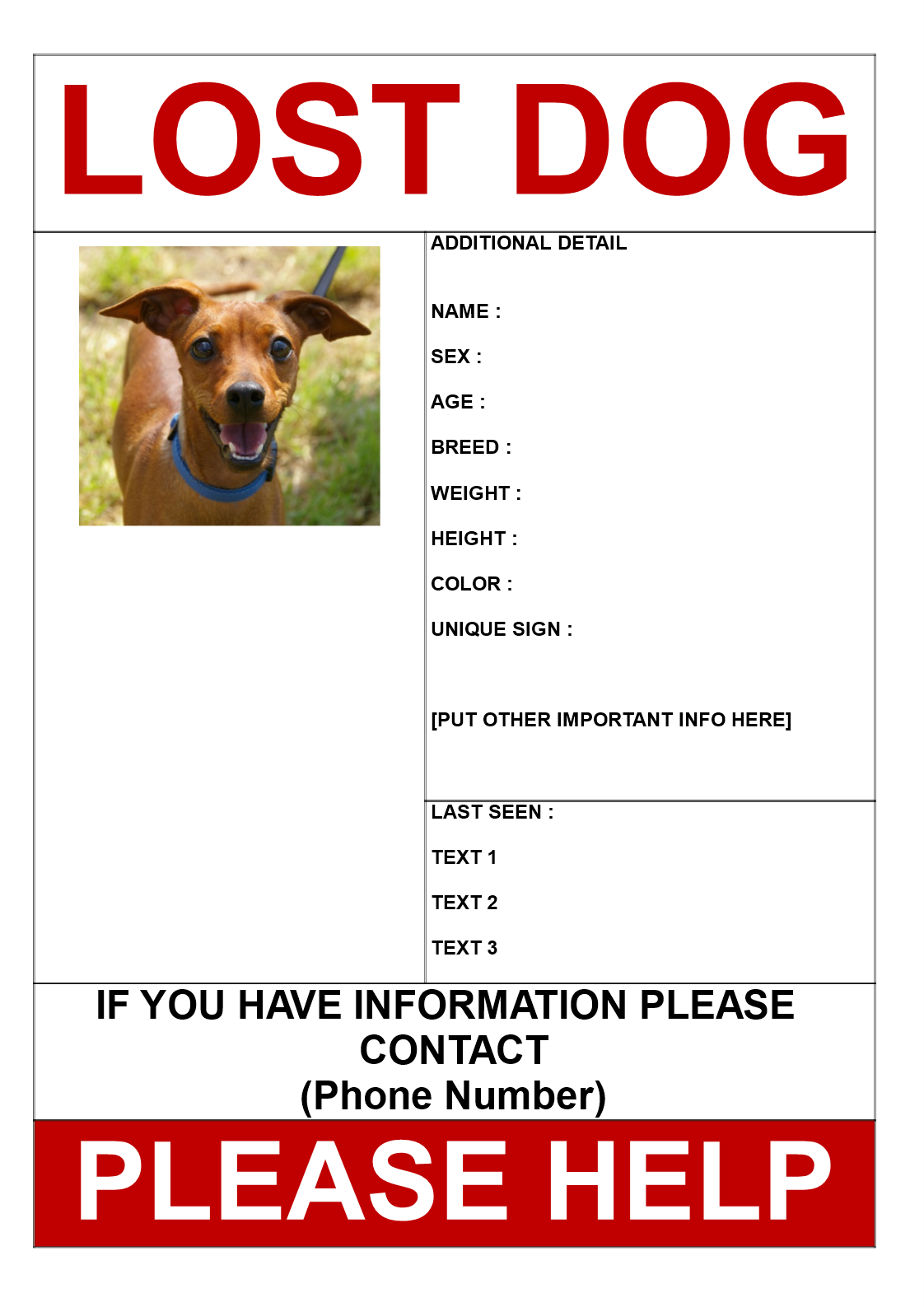 Find my Dog Poster Example 模板