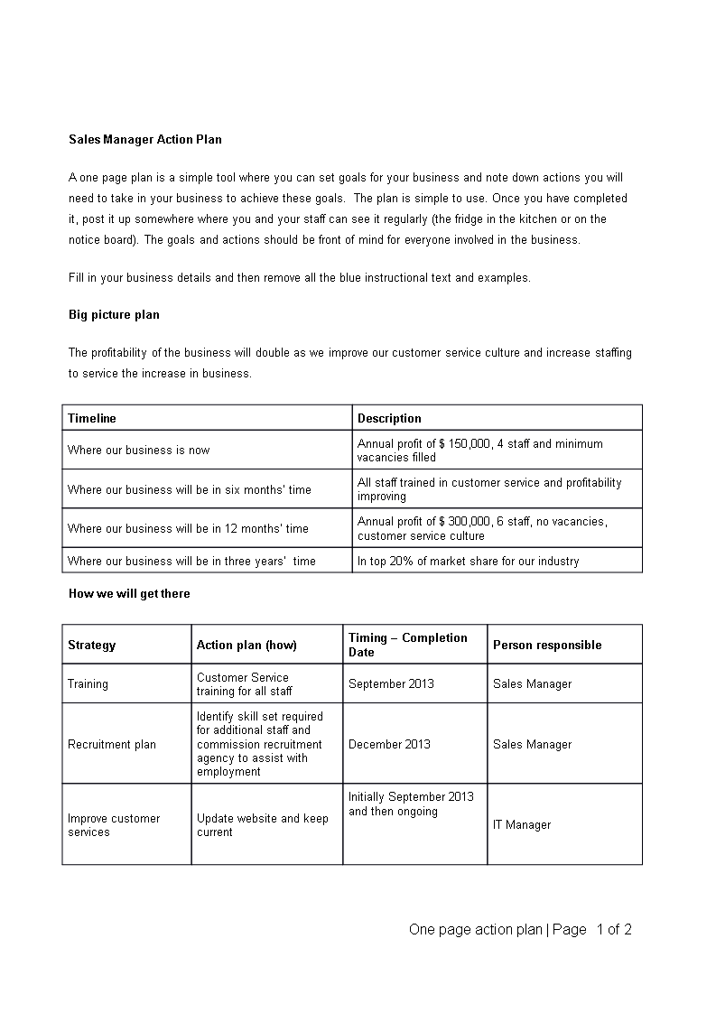 sales manager action plan modèles