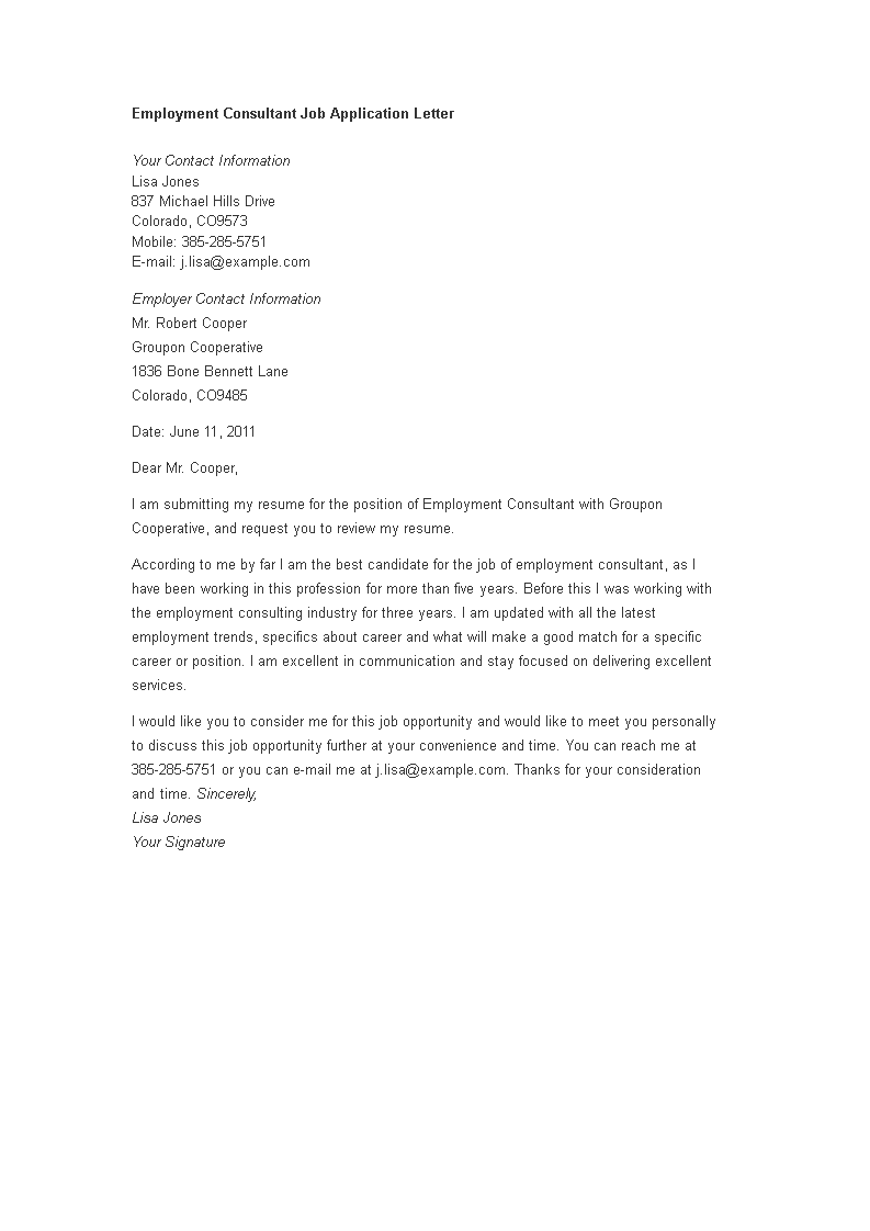 employment consultant job application letter template