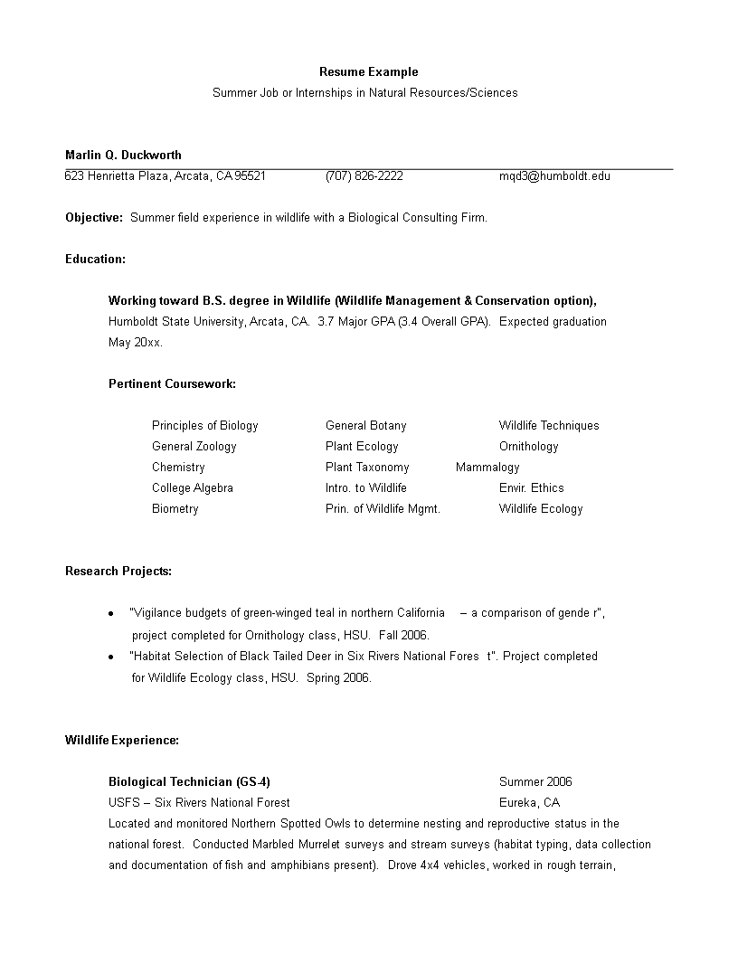 Resume Format for Internship 模板