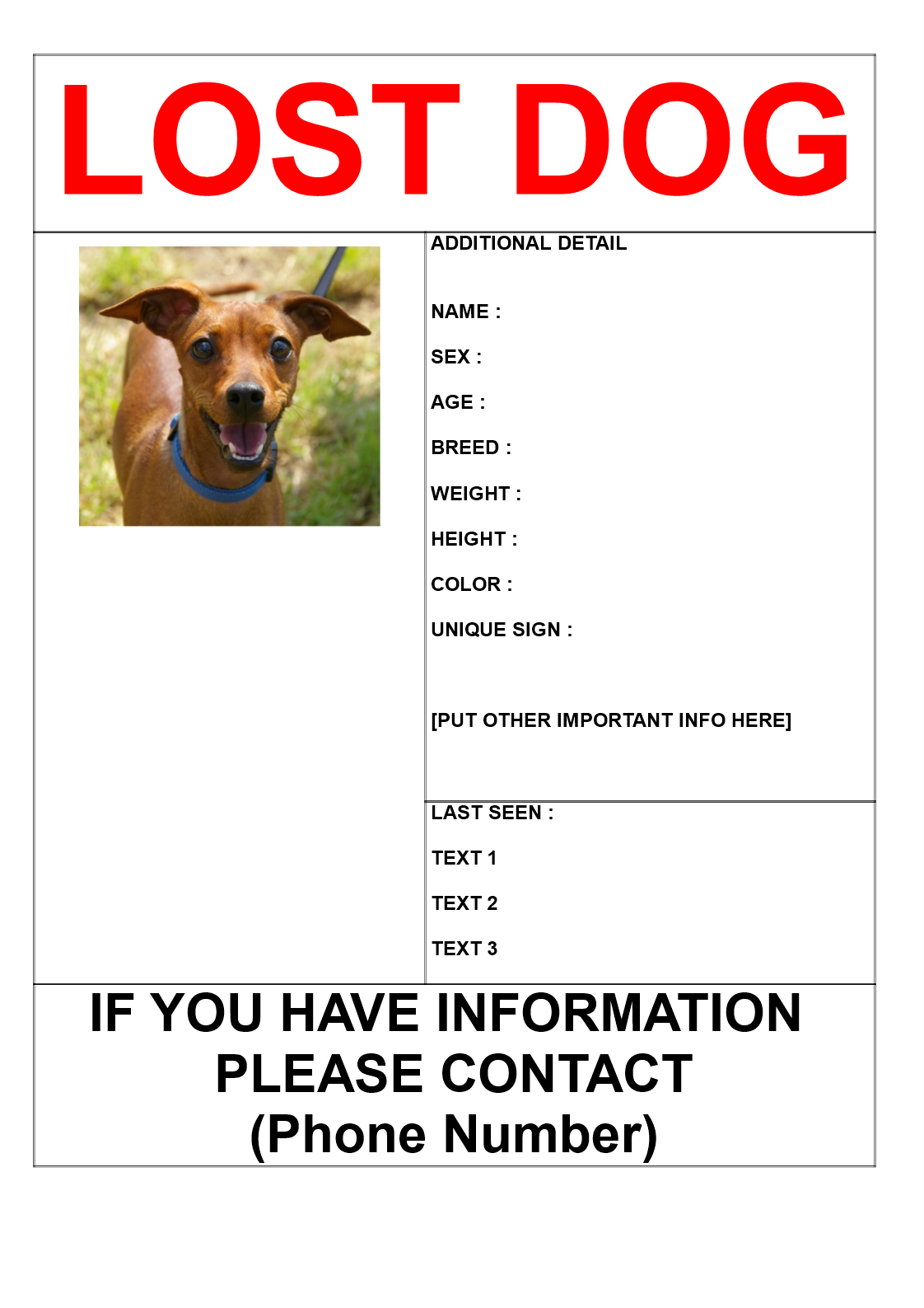 find missing dog poster template voorbeeld afbeelding 