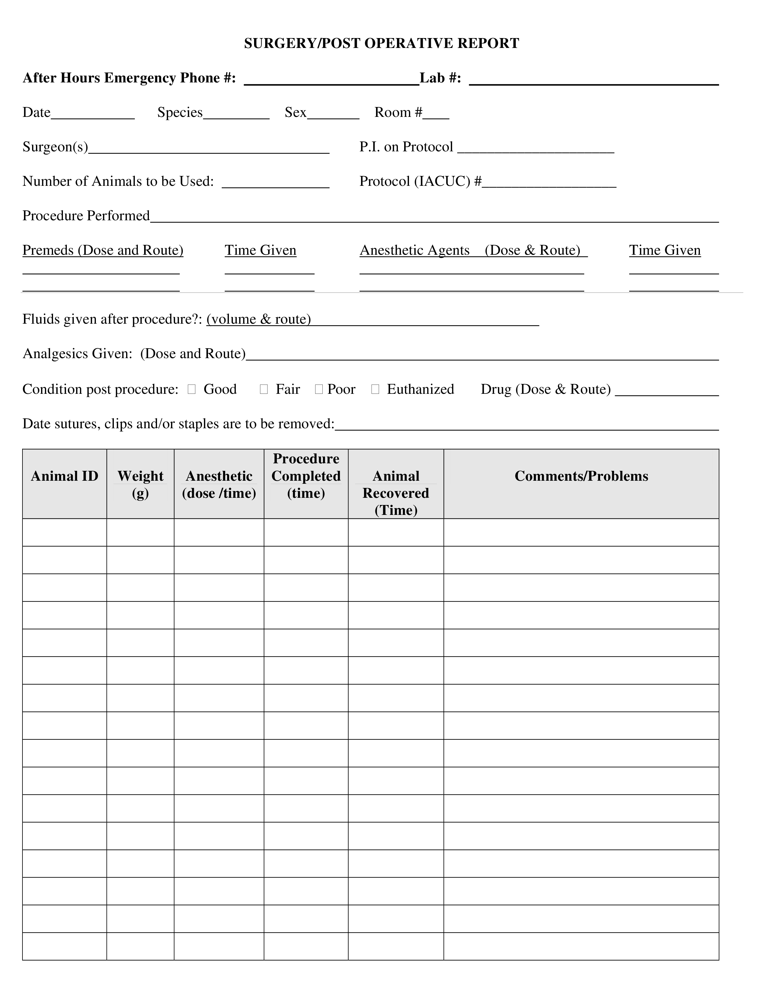 post operative report voorbeeld afbeelding 