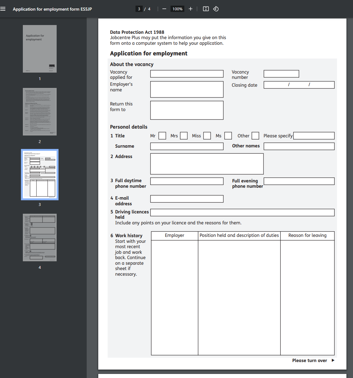 job application format plantilla imagen principal