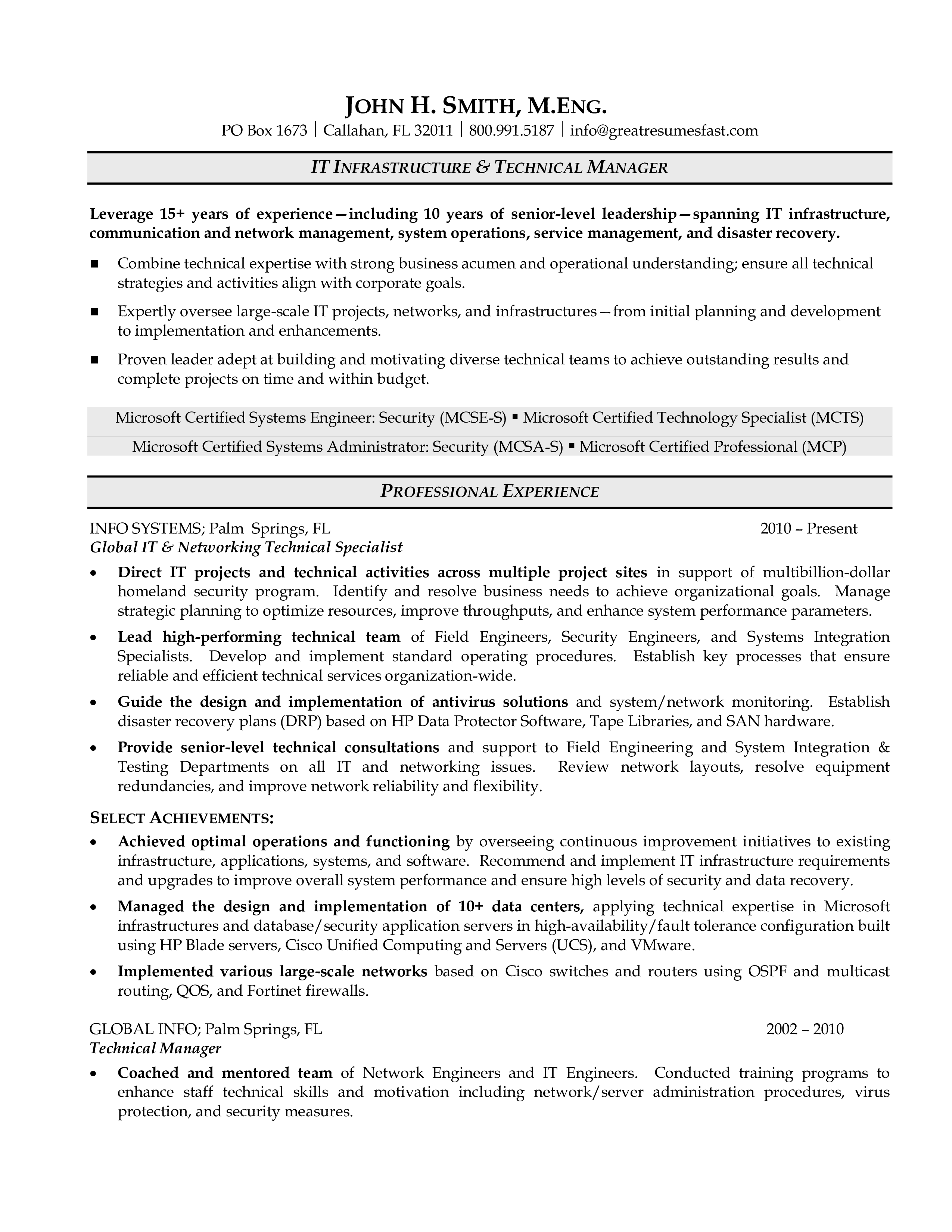 professional it manager curriculum vitae Hauptschablonenbild