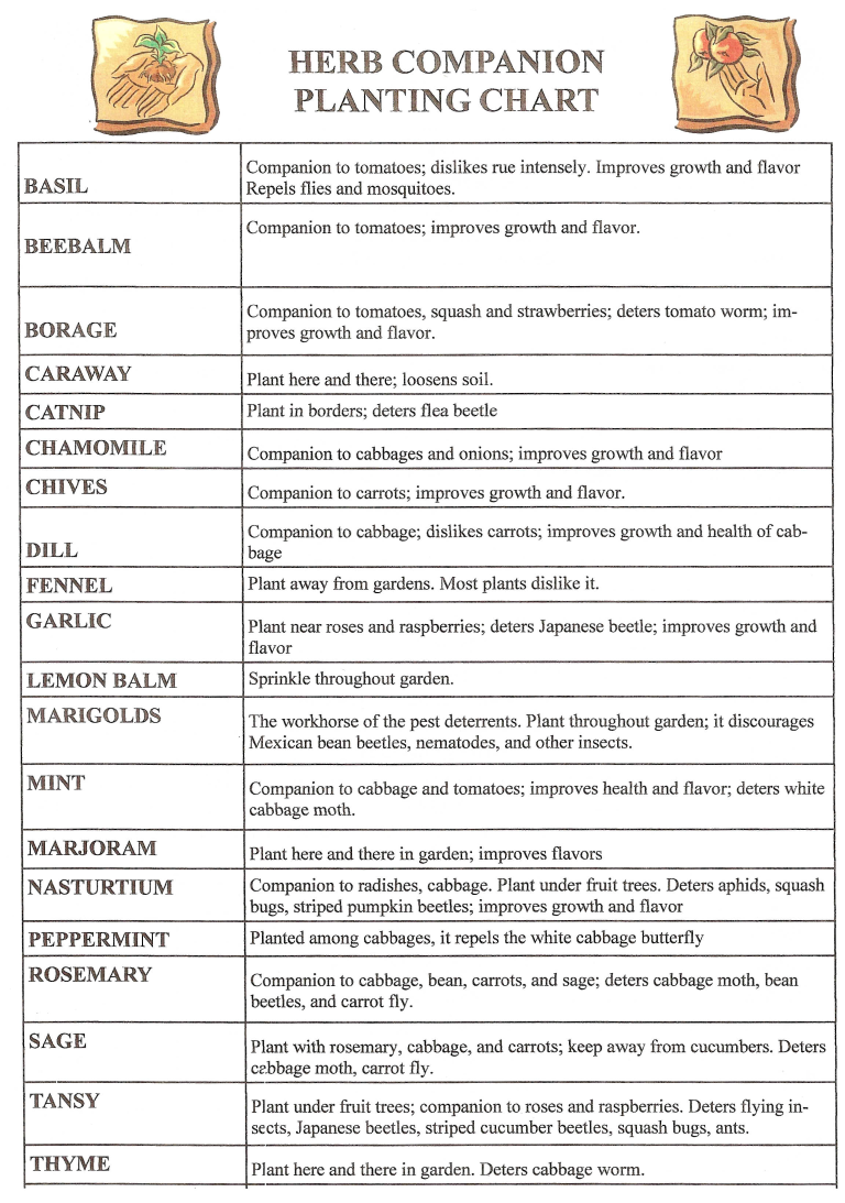 Plant Companion Chart Printable