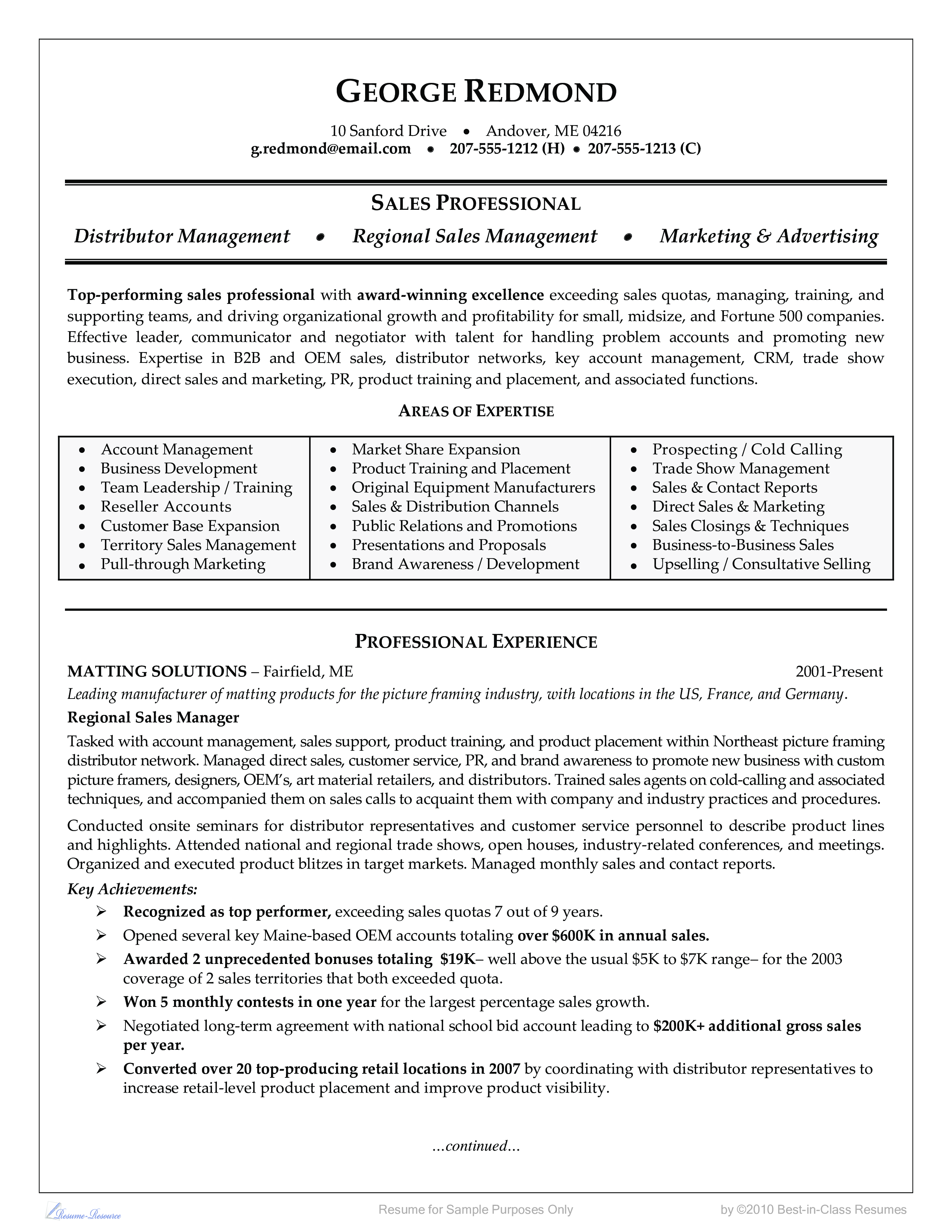 Kostenloses Business Sales Resume Sample