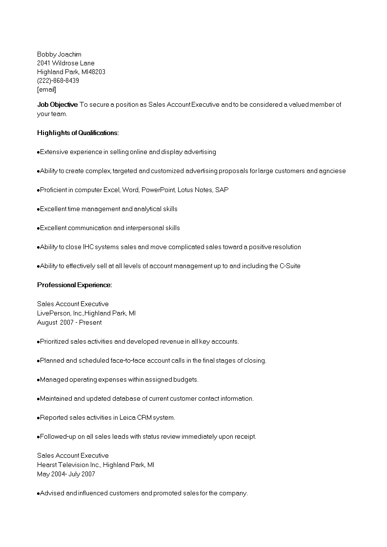 Account Executive Sales Resume main image