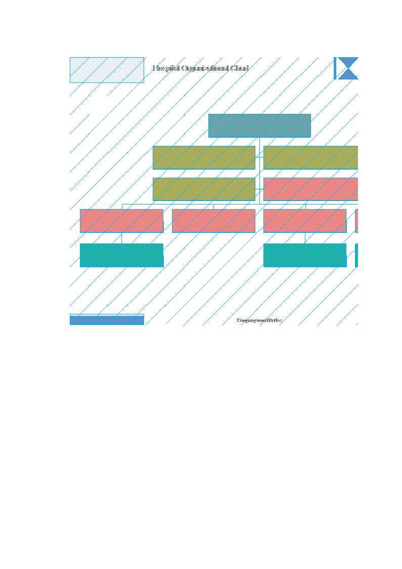 organizational chart xls excel sheet modèles