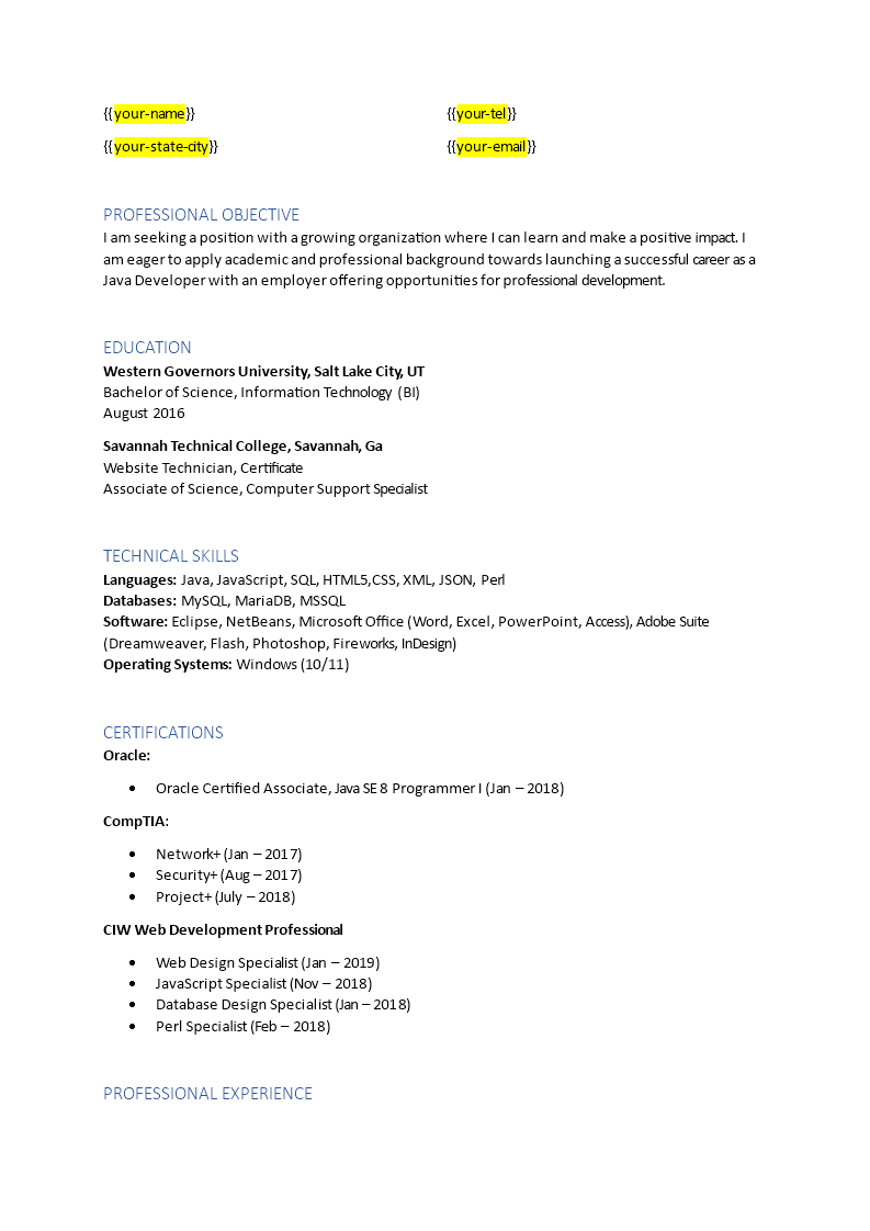 Entry Level Web Developer Resume main image