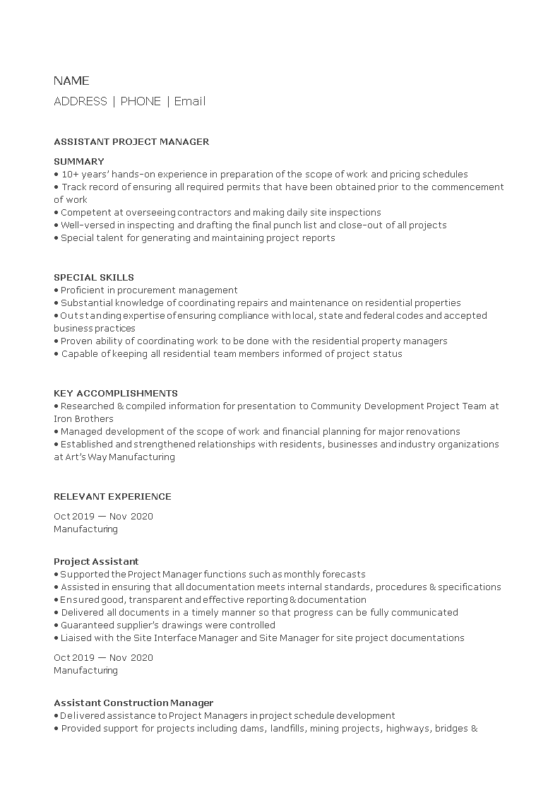 Assistant IT Project Manager Resume main image