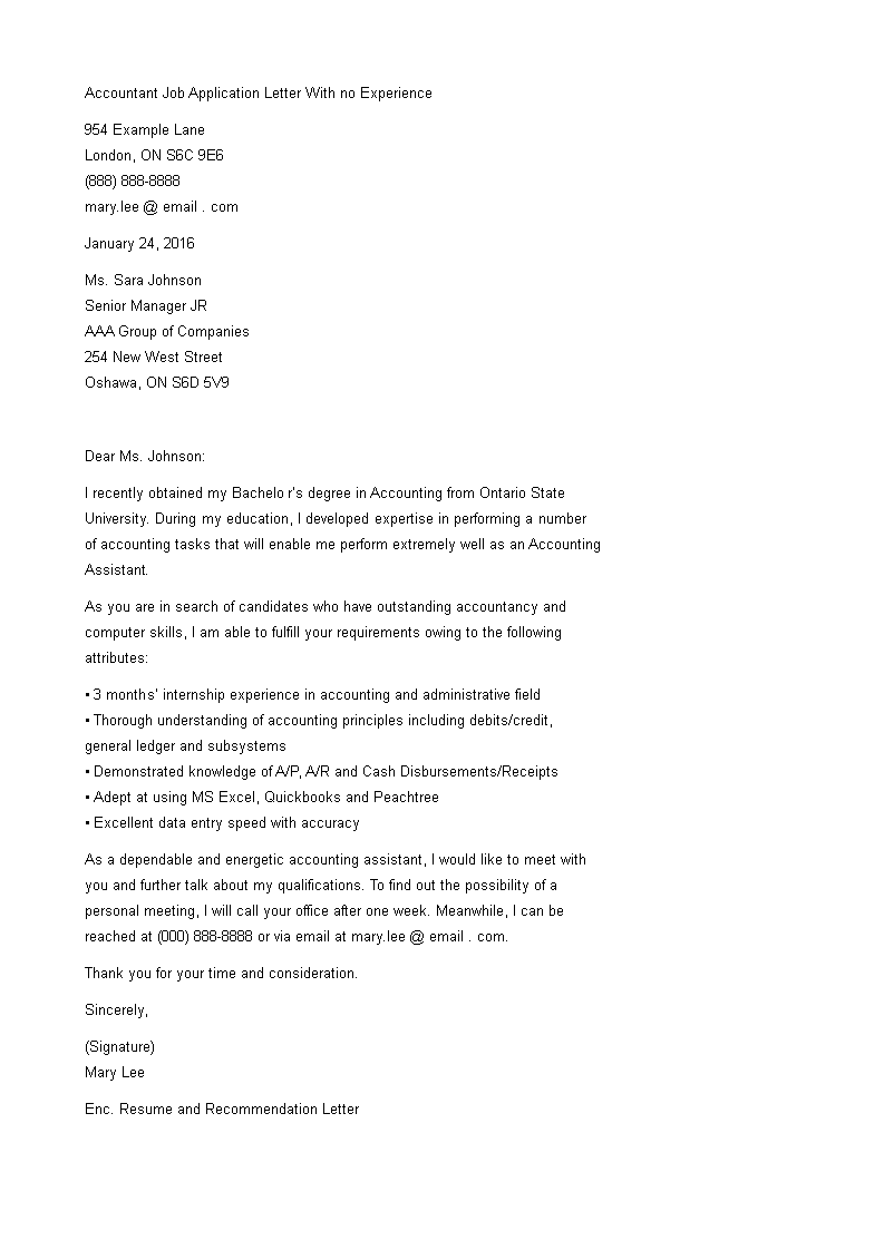 accountant job application without experience template