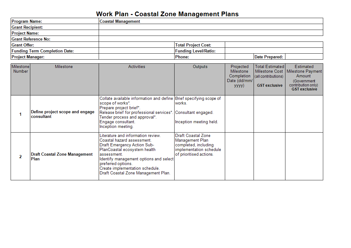 Professional Work Plan 模板