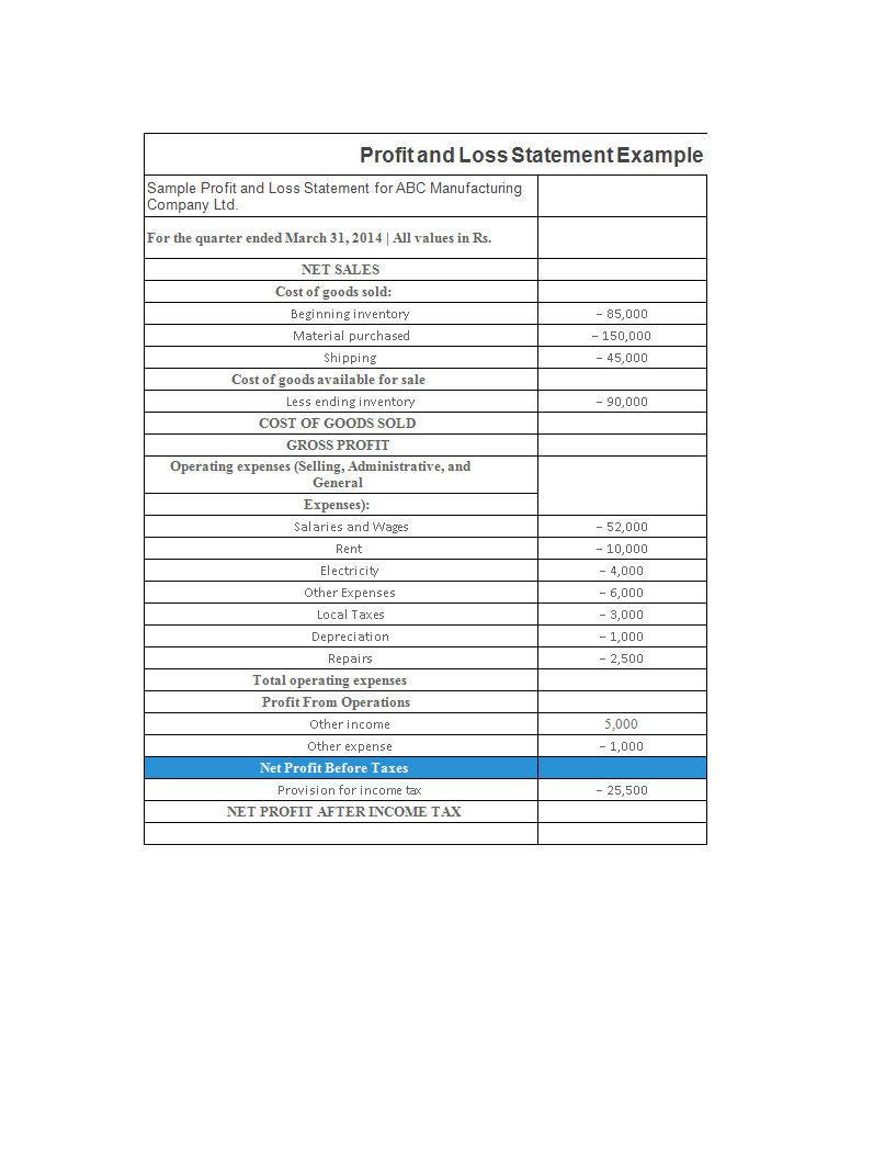 Profit and Loss XLSX Template 模板