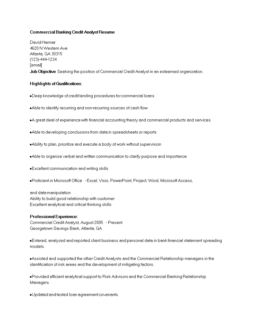 Commercial Banking Credit Analyst Resume main image