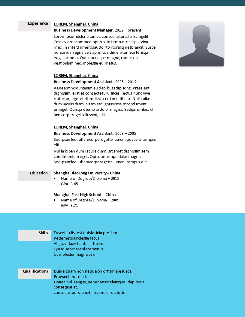 example of a creative cv business developer voorbeeld afbeelding 