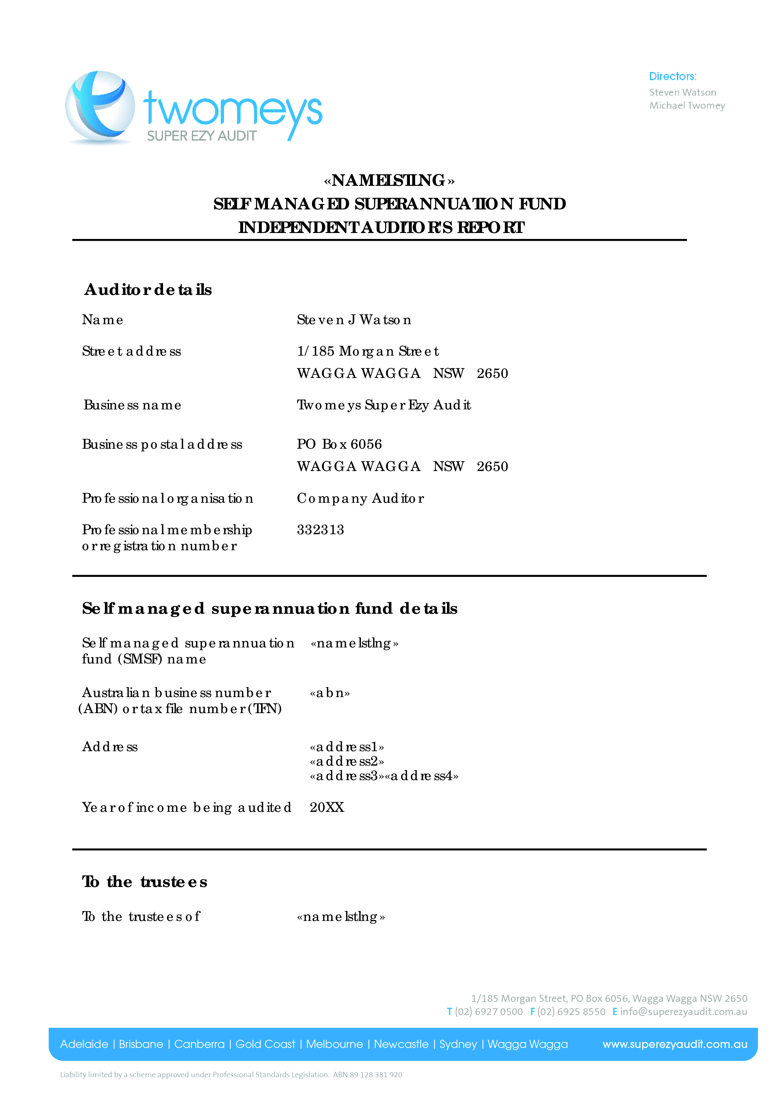 independent auditor's report template