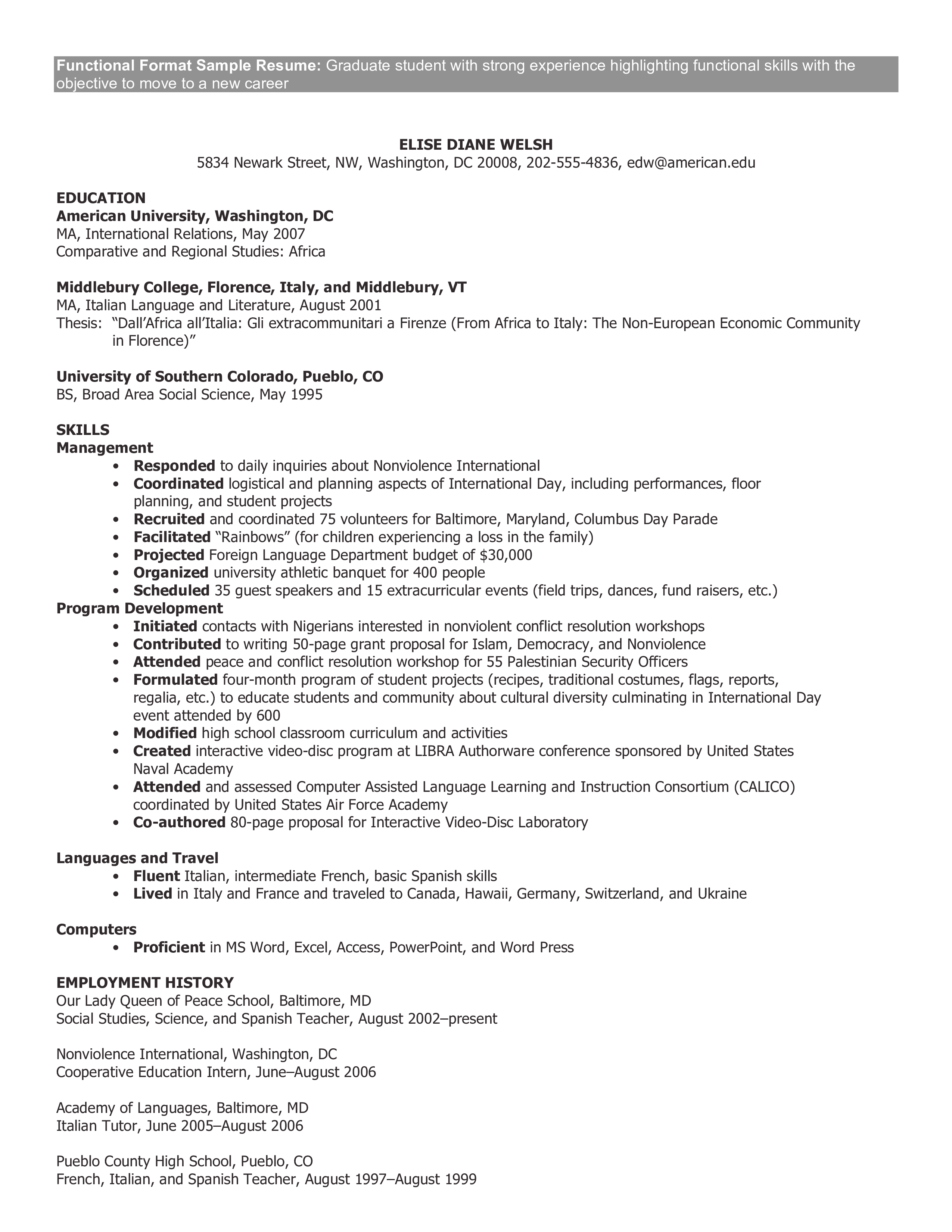 functional cv format template