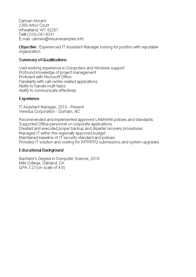 Assistant IT Manager Resume 模板