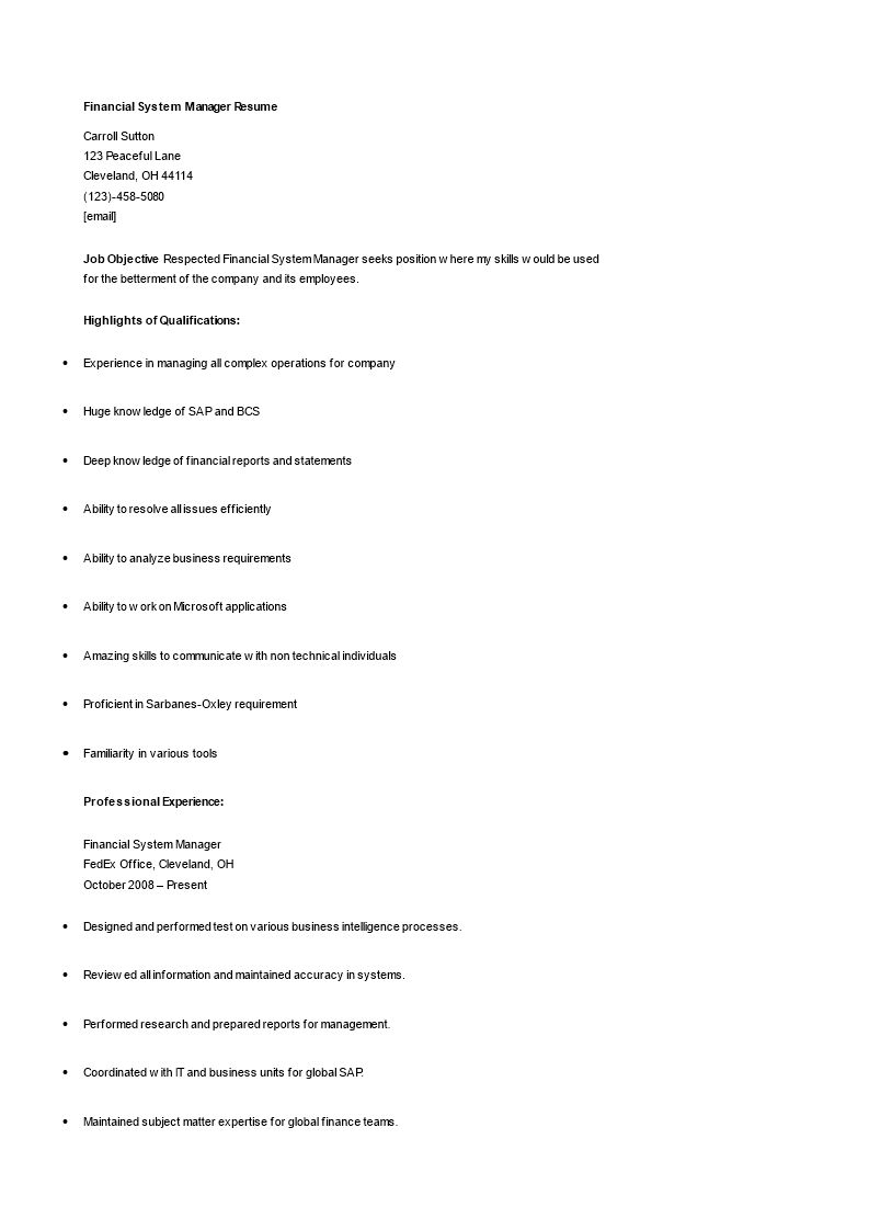 financial systems manager resume Hauptschablonenbild