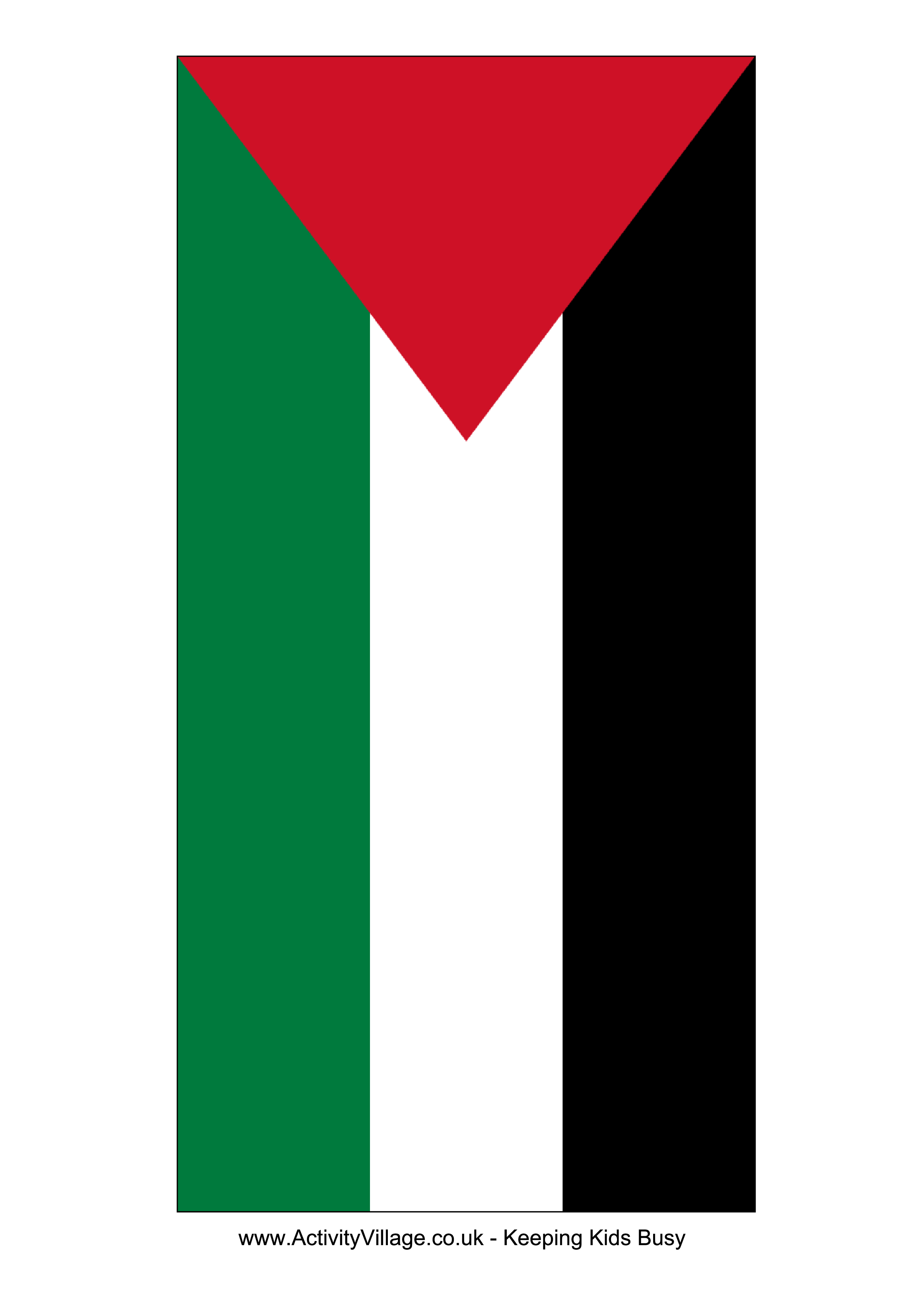 Palestine Flag main image
