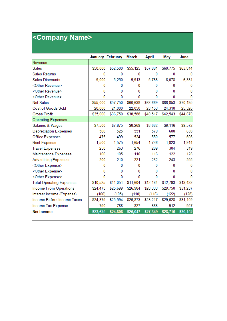 Profit and loss statement for small business 模板