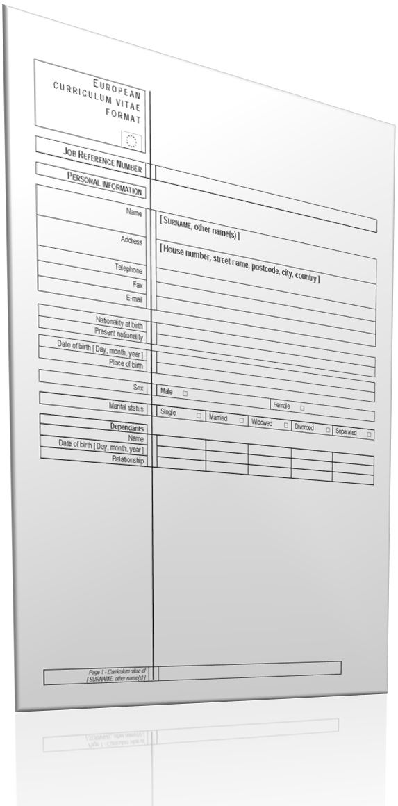 Standard European Union CV Template 模板