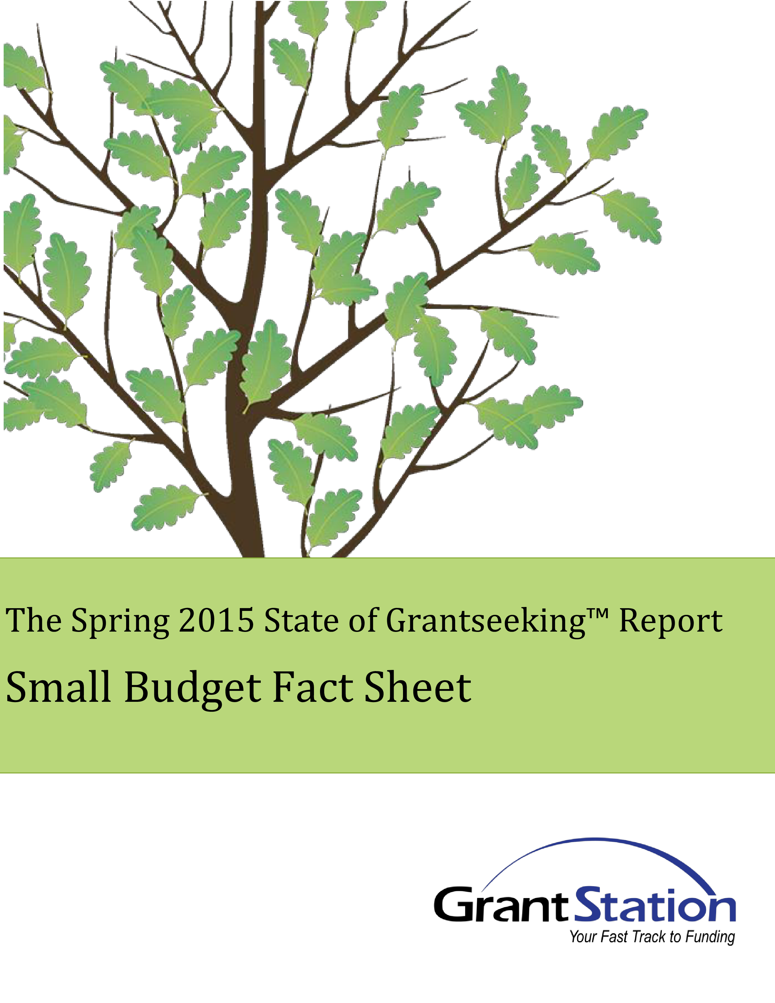 Small Business Annual Budget main image