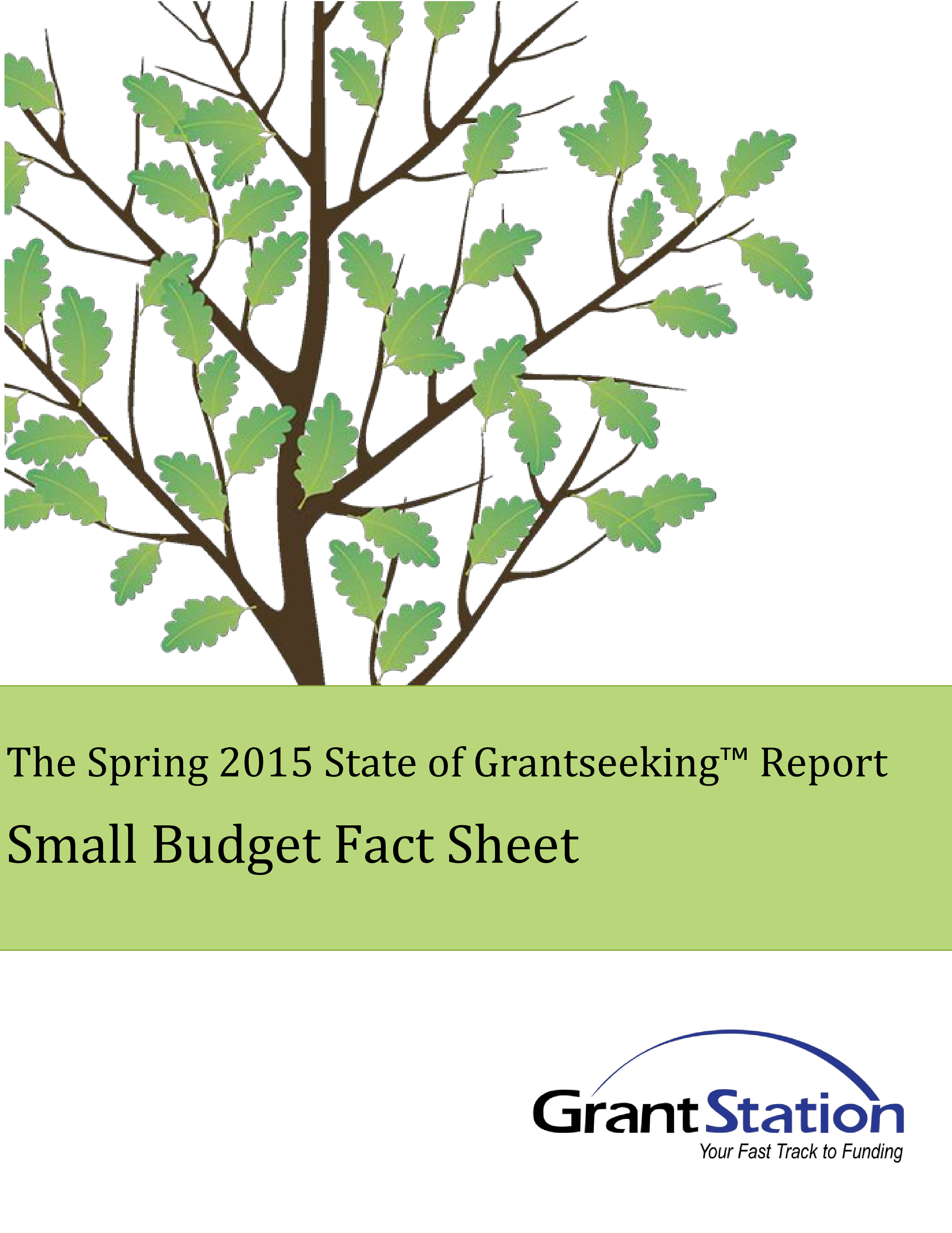 small business annual budget voorbeeld afbeelding 