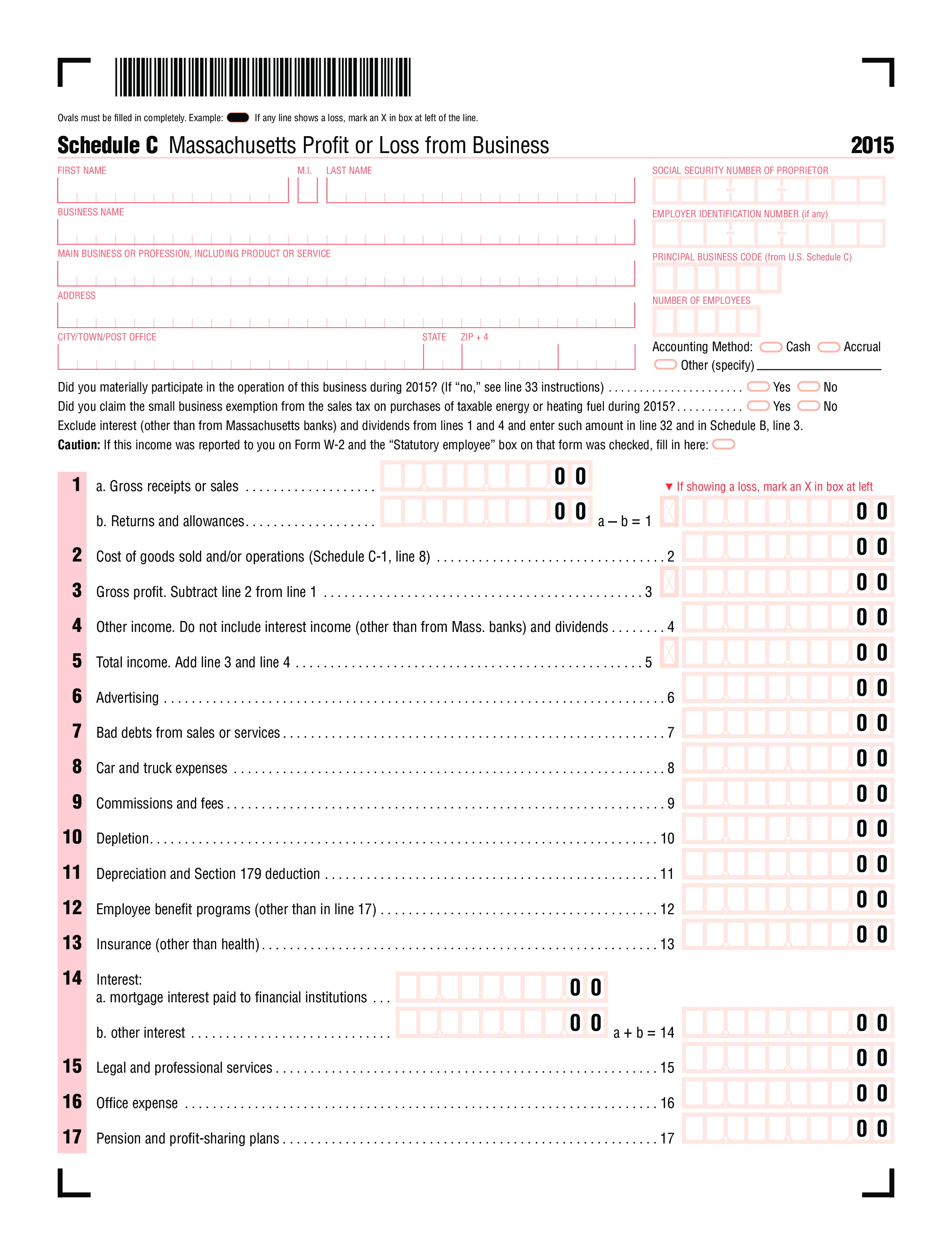 Business Profit And Loss Form main image